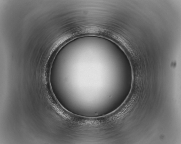X0000096141026200801251036