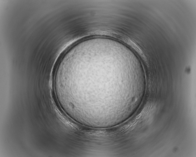 X0000096141028200801251036