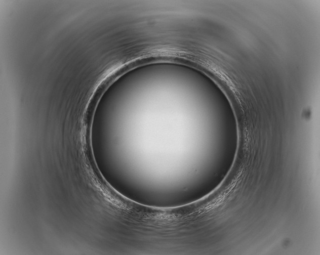 X0000096141029200801251036