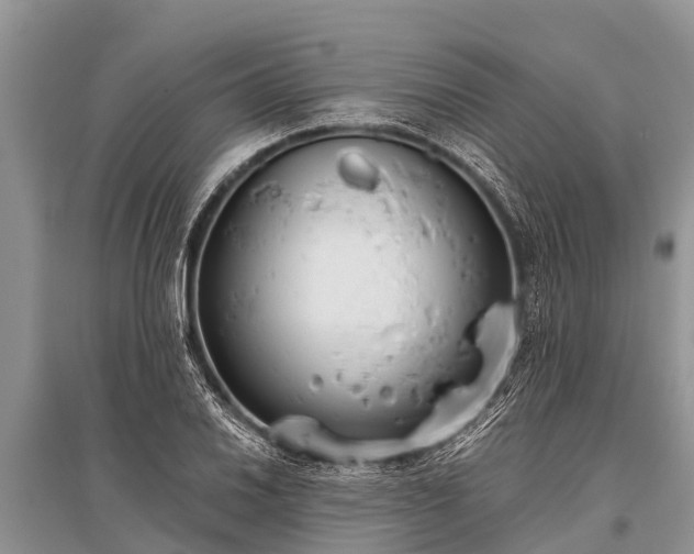 X0000096141030200801251036