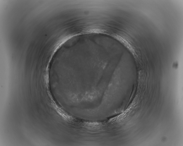 X0000096141031200801251036