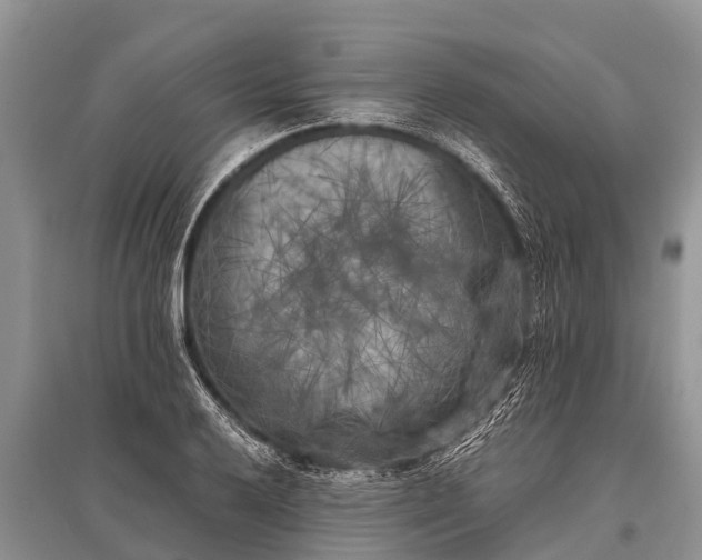 X0000096141032200801251036