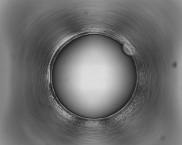 X0000096141036200801251036