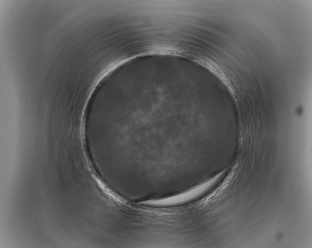 X0000096141037200801251036