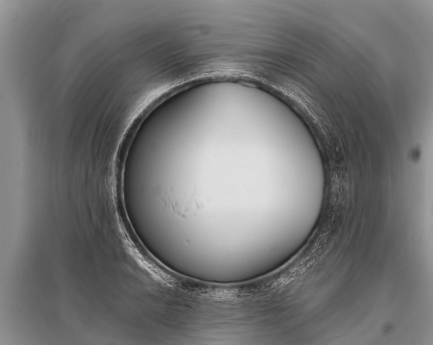X0000096141038200801251036
