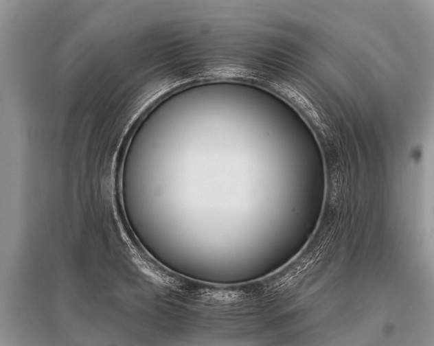 X0000096141039200801251036