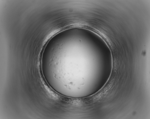 X0000096141042200801251036
