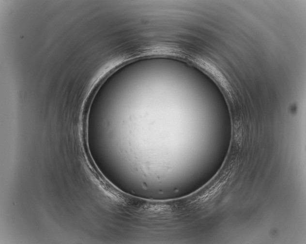 X0000096141043200801251036