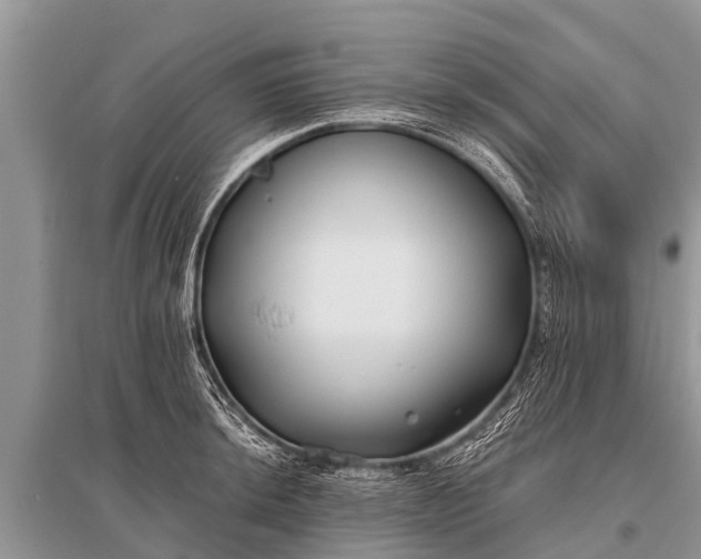 X0000096141044200801251037