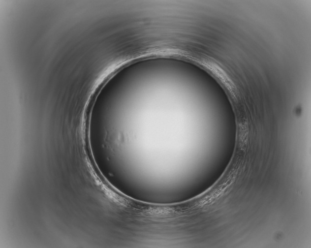 X0000096141046200801251037