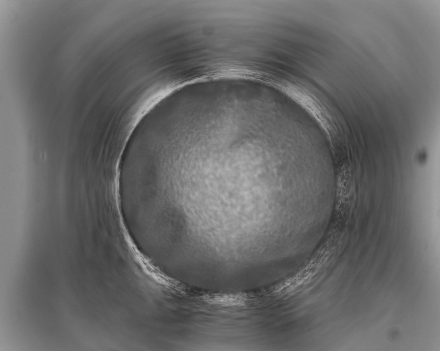 X0000096141047200801251037