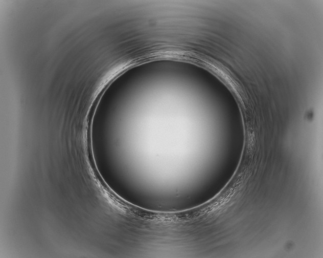 X0000096141050200801251037