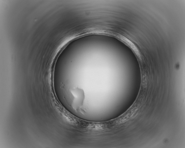 X0000096141051200801251037