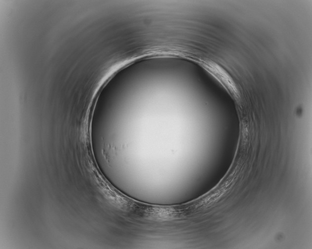 X0000096141052200801251037