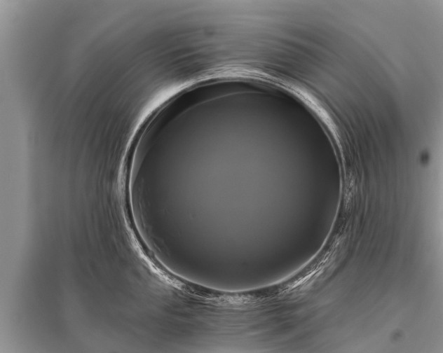 X0000096141053200801251037