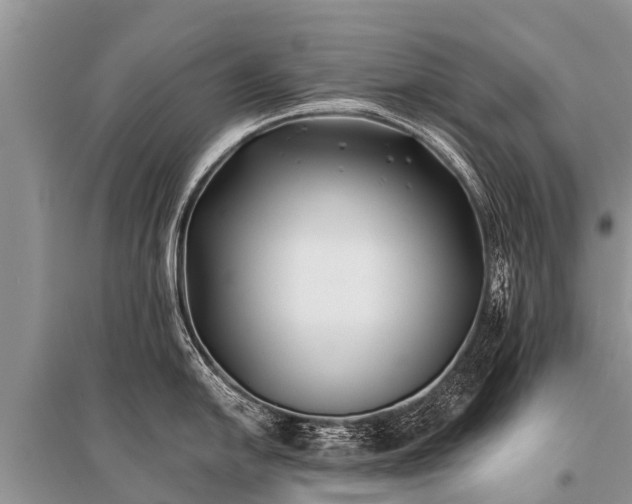 X0000096141054200801251037
