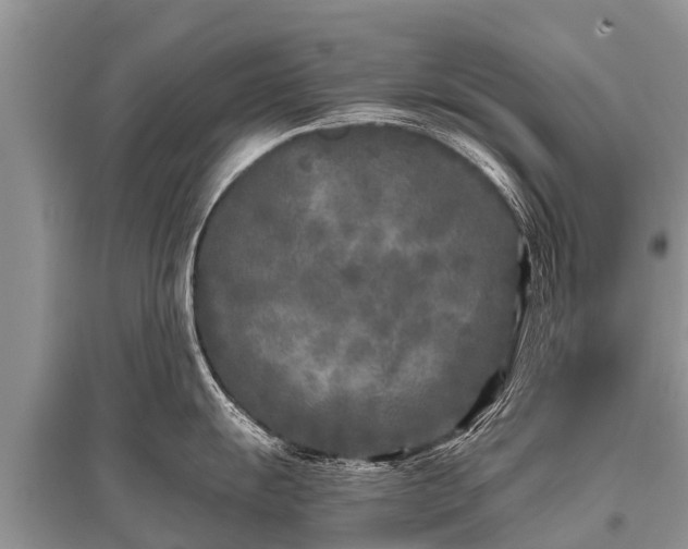 X0000096141055200801251037