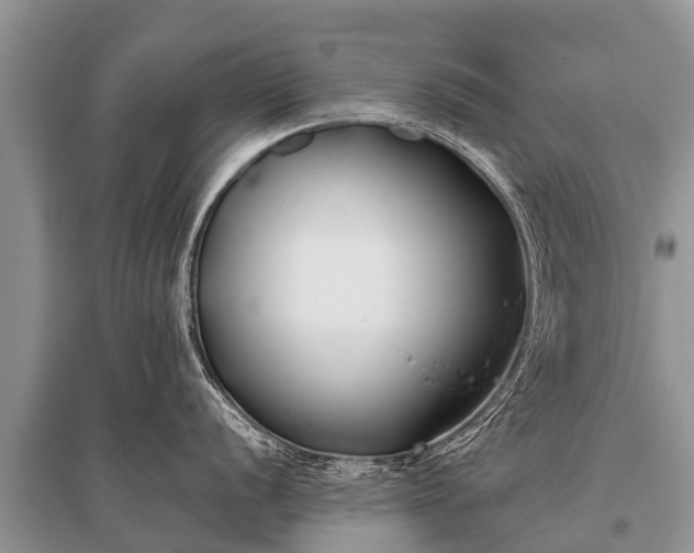 X0000096141056200801251037