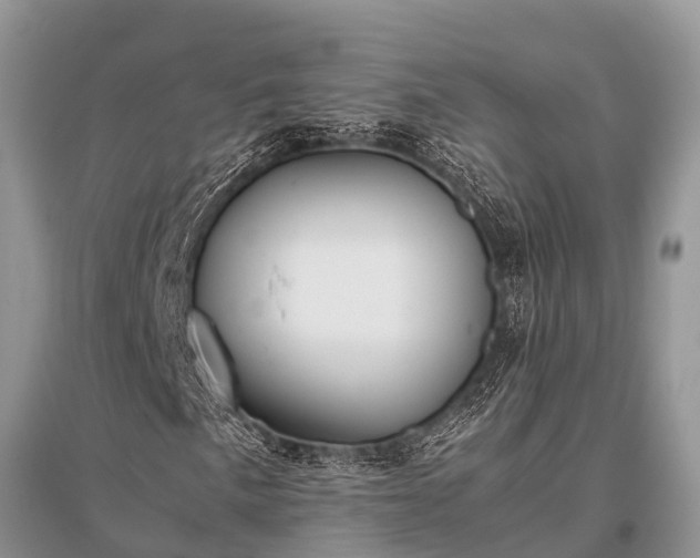 X0000096141057200801251036