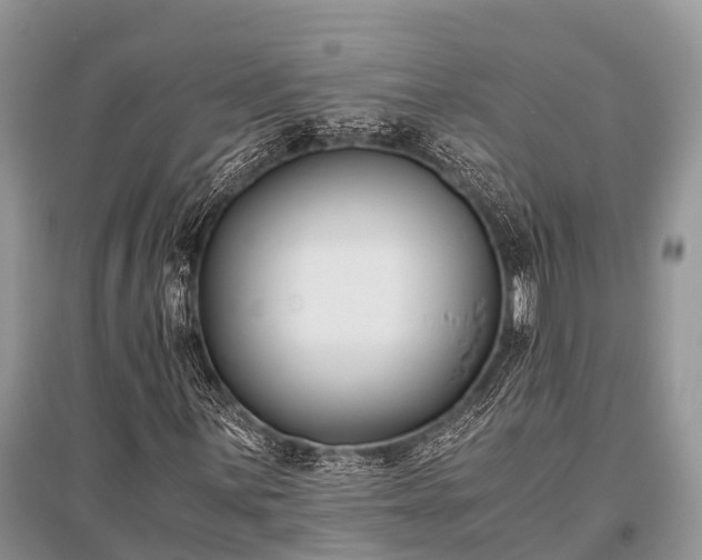 X0000096141059200801251036