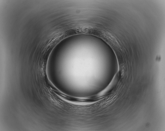 X0000096141060200801251036
