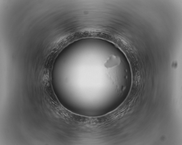 X0000096141062200801251036