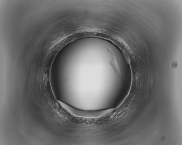 X0000096141064200801251036