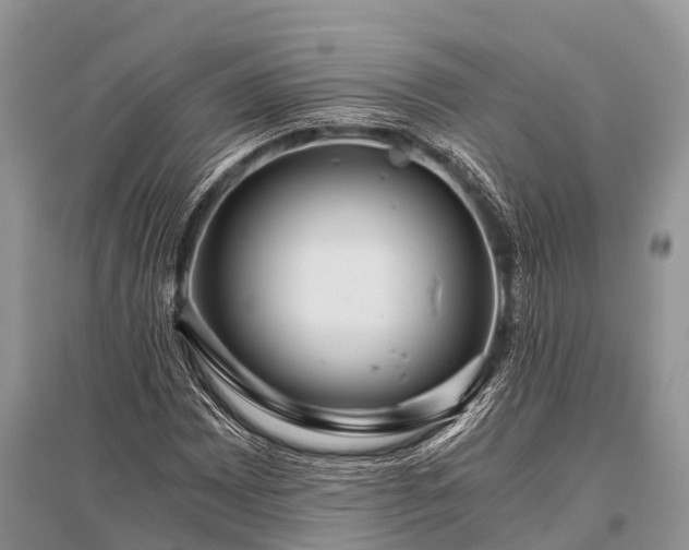 X0000096141065200801251036