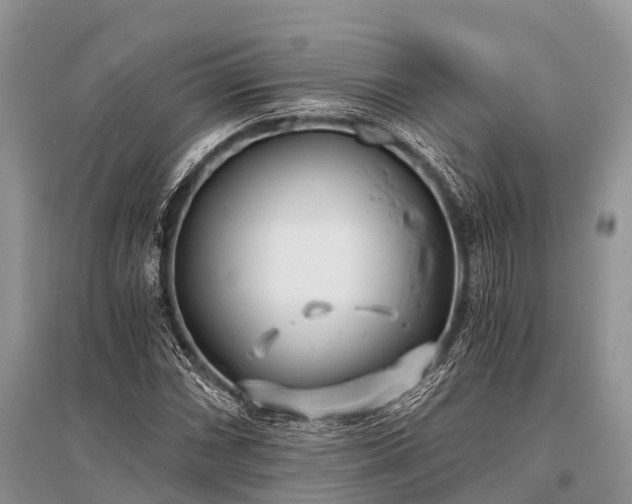 X0000096141066200801251036