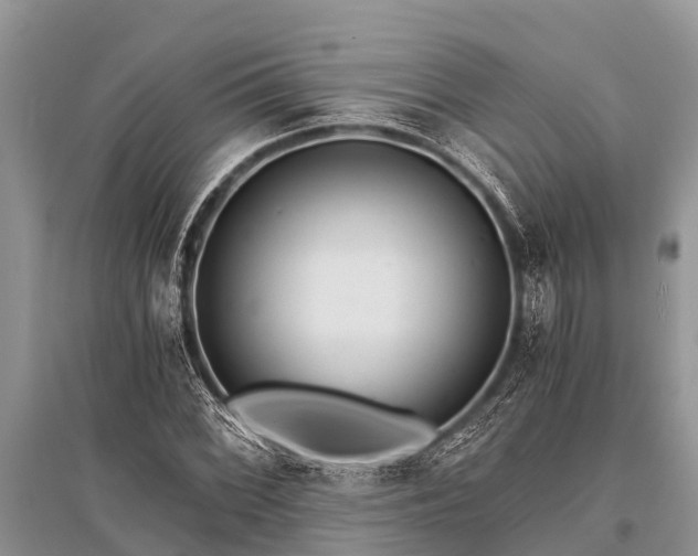 X0000096141068200801251036