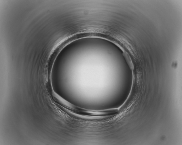 X0000096141069200801251036