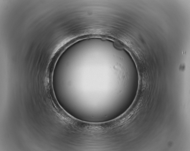 X0000096141070200801251036