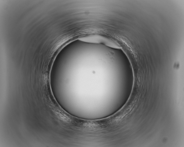 X0000096141073200801251036