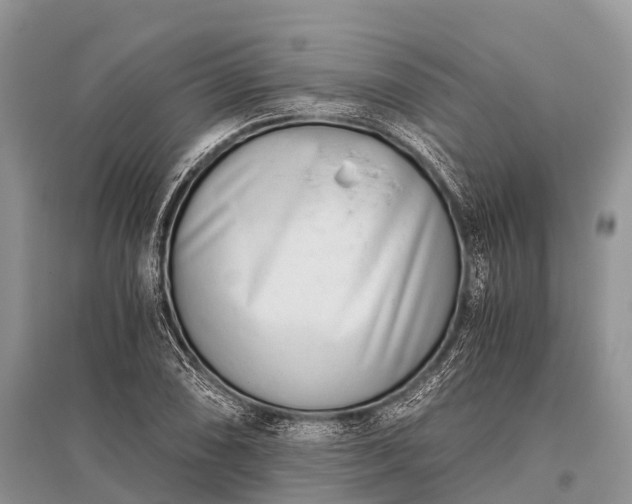 X0000096141074200801251036