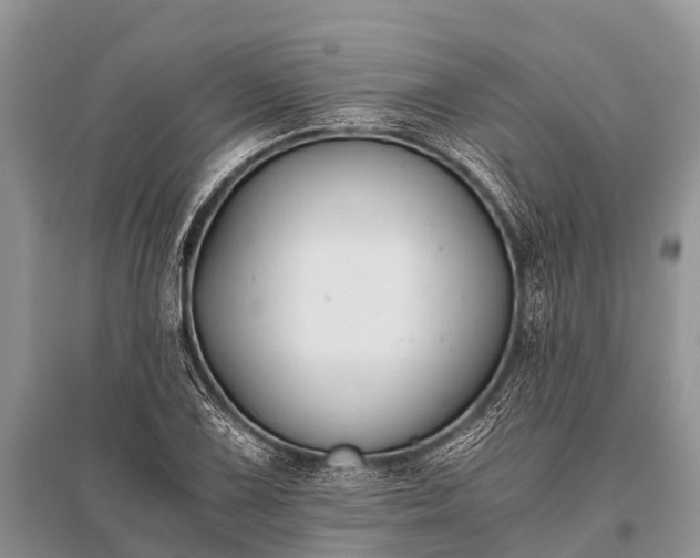 X0000096141075200801251036