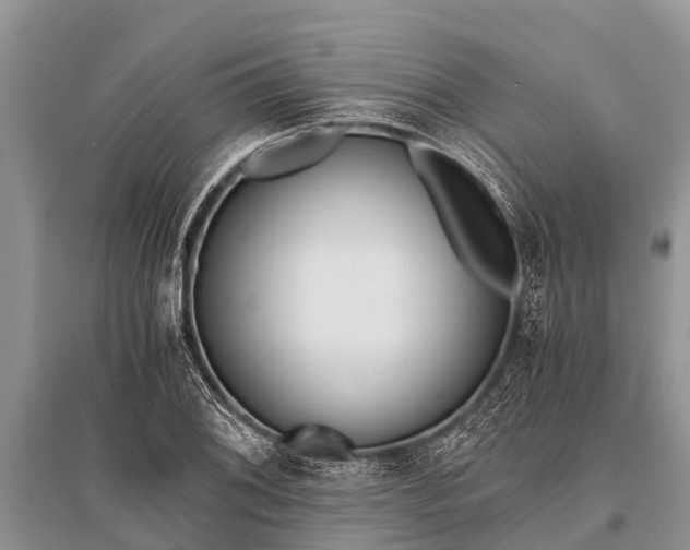 X0000096141076200801251036
