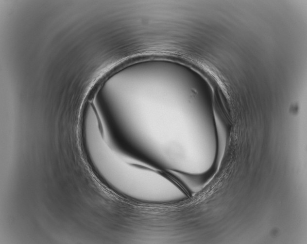 X0000096141077200801251036