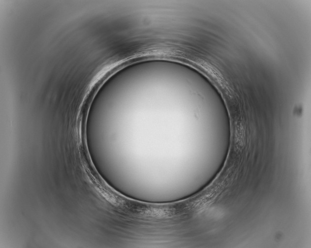 X0000096141078200801251035