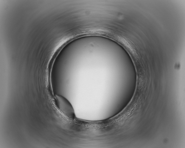X0000096141079200801251035