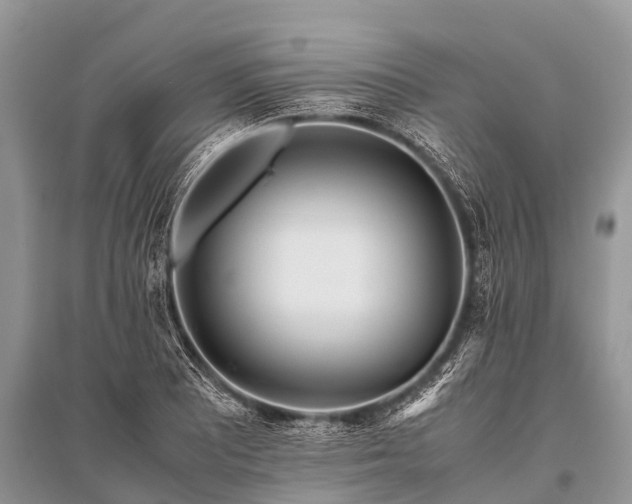 X0000096141081200801251035