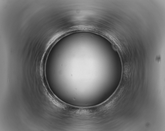 X0000096141082200801251035