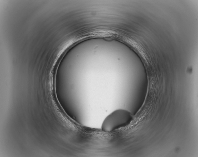 X0000096141083200801251035