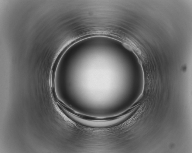 X0000096141084200801251035