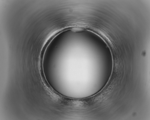 X0000096141085200801251035