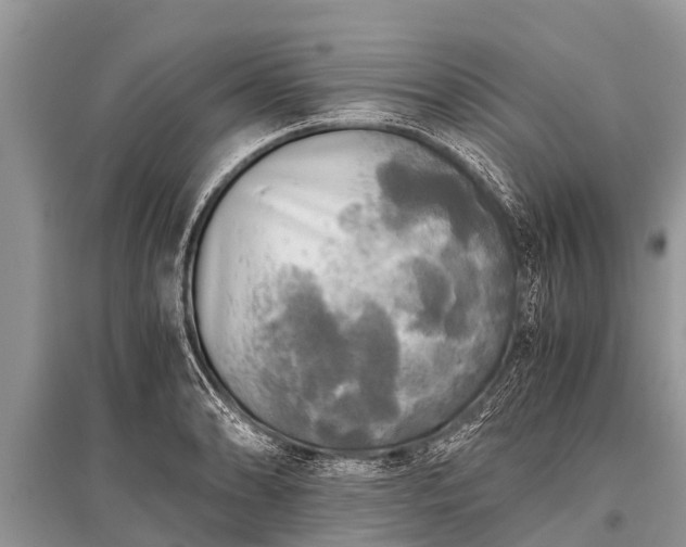 X0000096141086200801251035