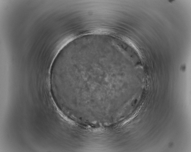 X0000096141087200801251035