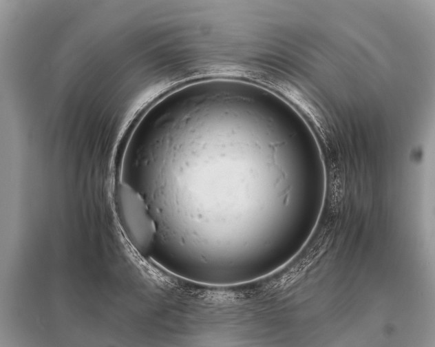 X0000096141088200801251035