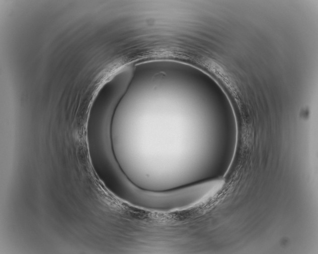 X0000096141089200801251035