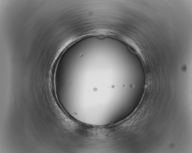 X0000096141091200801251035