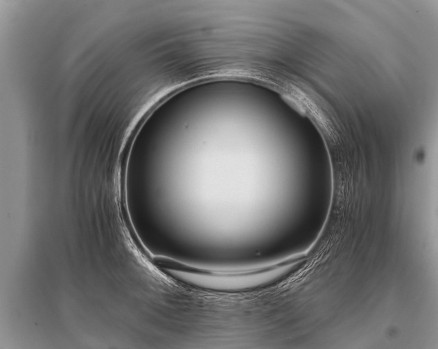 X0000096141092200801251035